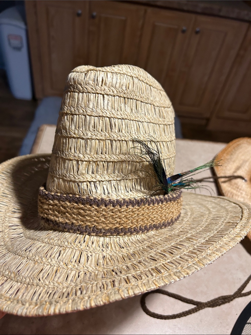 HALLOWEEN COSTUME ACCESSORIES